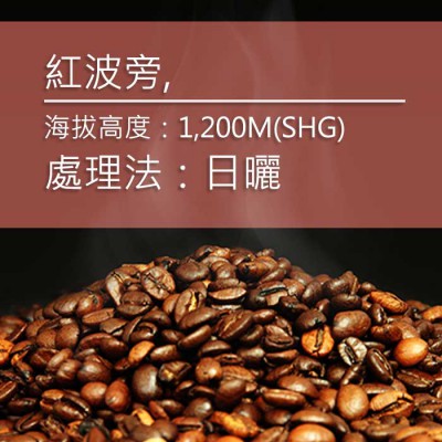 進口咖啡豆-代表圖007-2