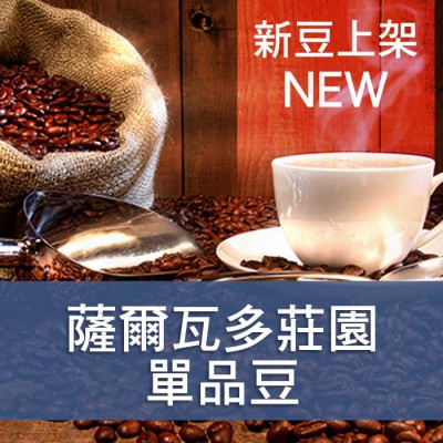 進口咖啡豆-代表圖002-1