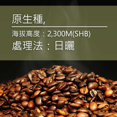 進口咖啡豆-代表圖006-2