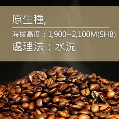 進口咖啡豆-代表圖005-2