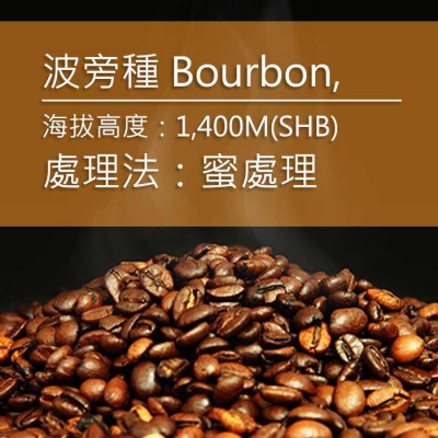 進口咖啡豆-代表圖004-2