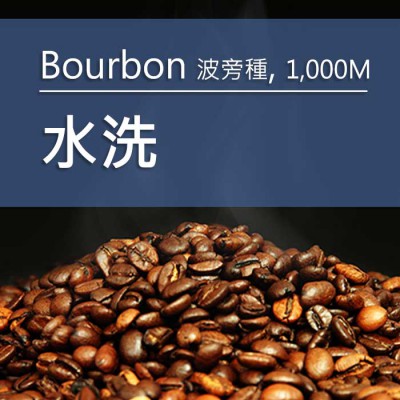 進口咖啡豆-代表圖002-2