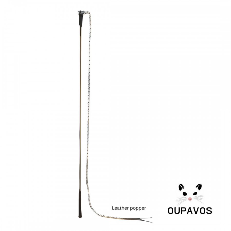 Horse Training Whip With Leather Popper