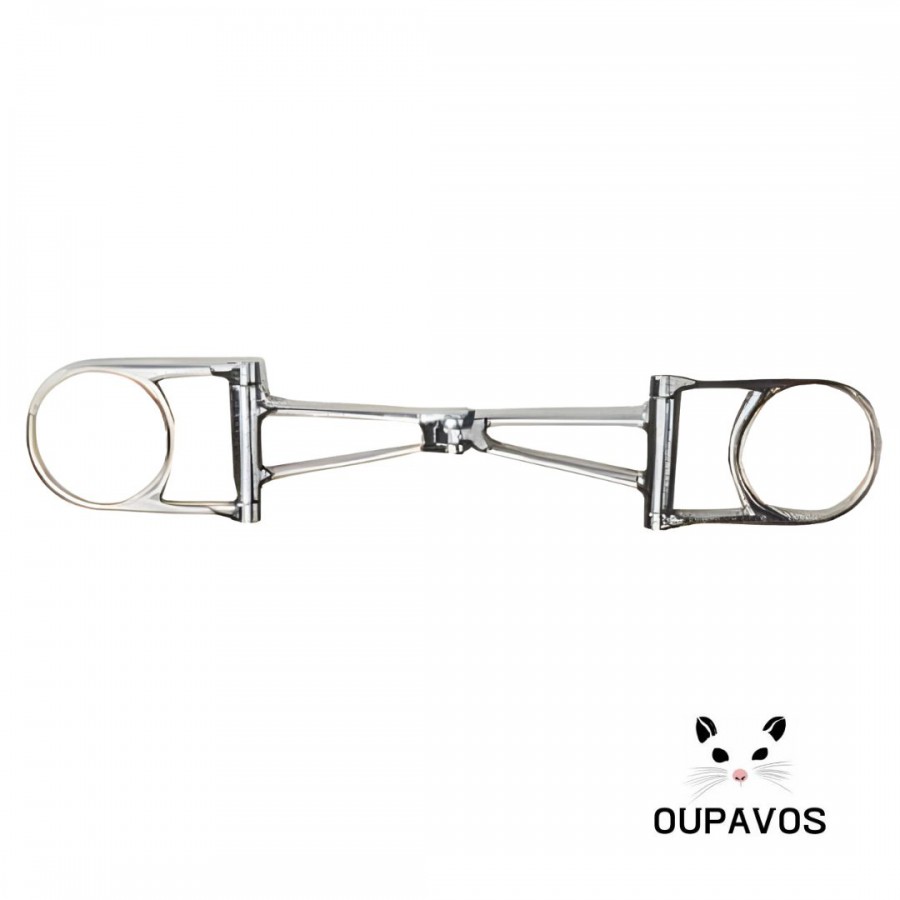 Horse Creslendoo Bit