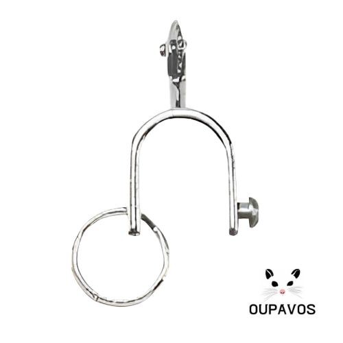 Horse Spur Keychain 